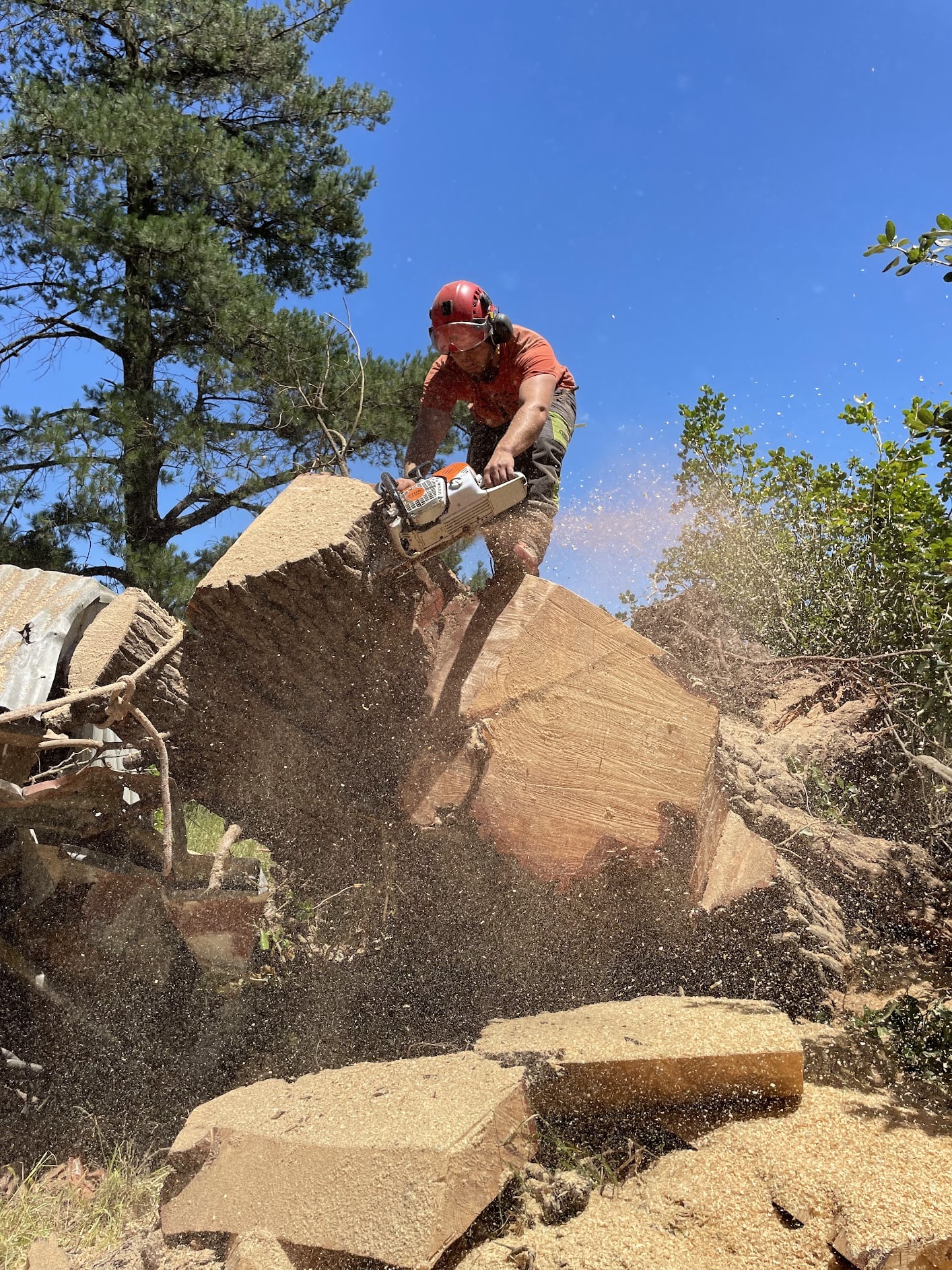 Chainsaw Gibbons Mornington Peninsula